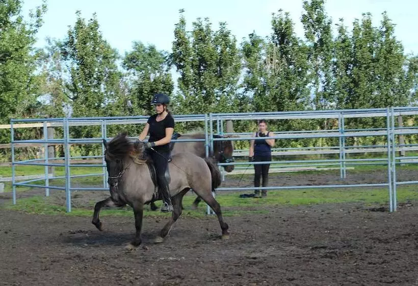 پانسیون Hestakráin