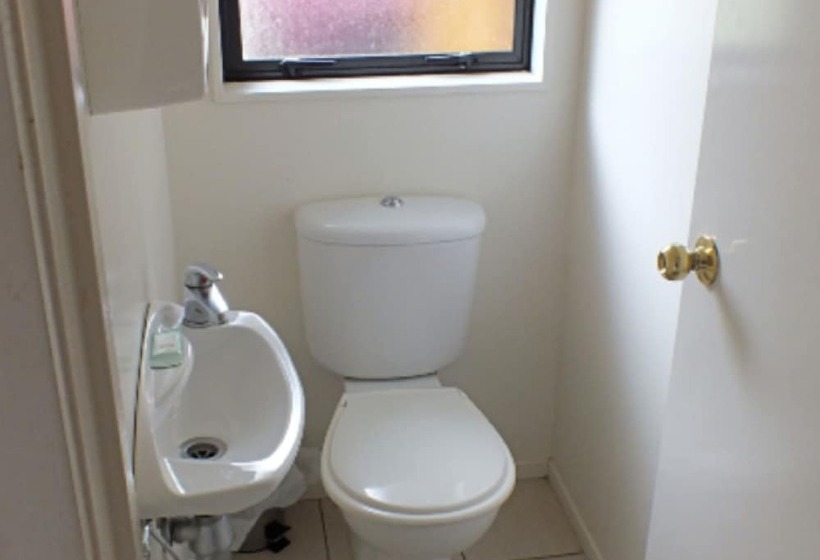 Bay Adventurer Hostel