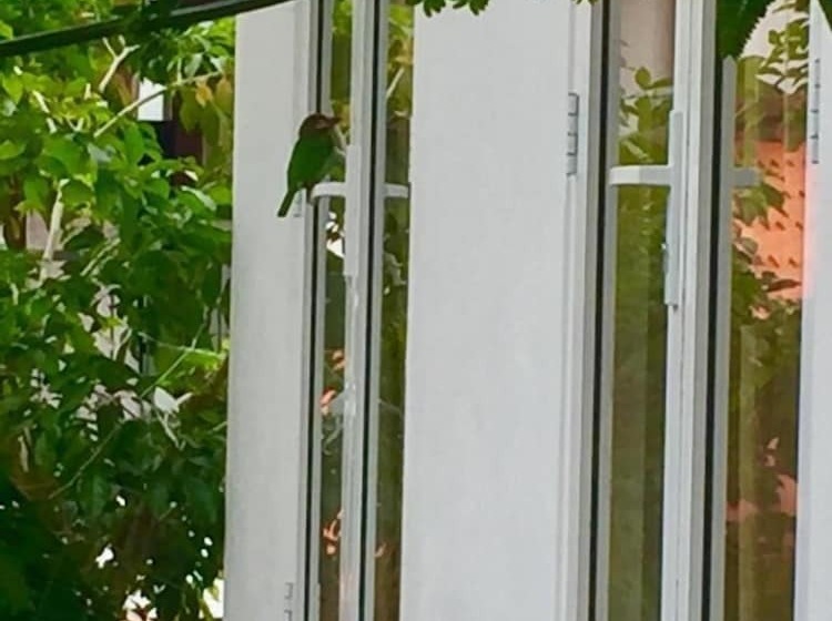 צימר Green Boutique Villa