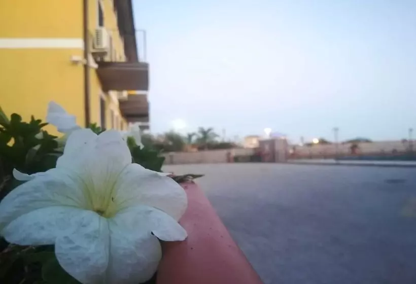 Bed and Breakfast I Colori Dell Etna