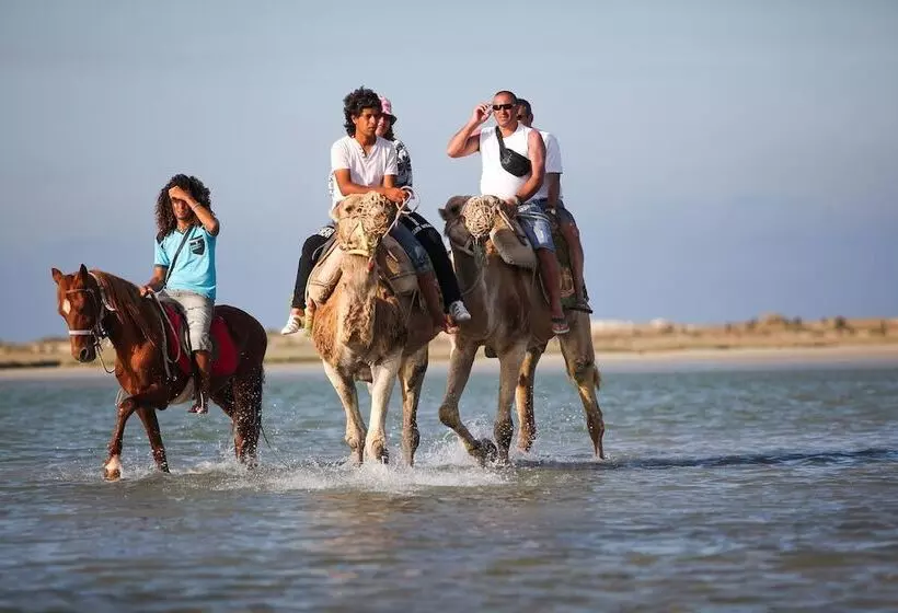 호텔 El Mouradi Djerba Menzel