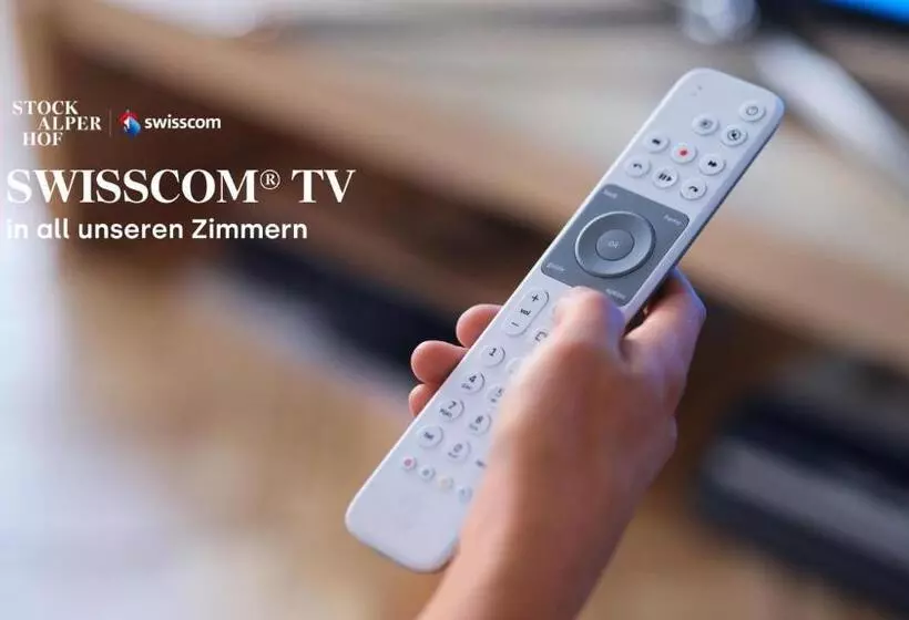 酒店 Stockalperhof