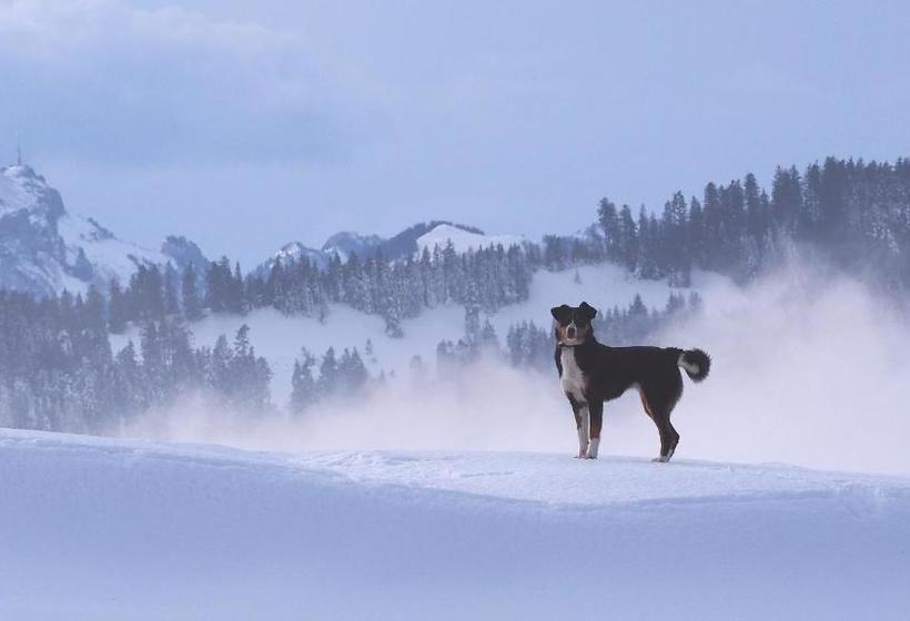 هتل Friendshouse Appenzellerhof