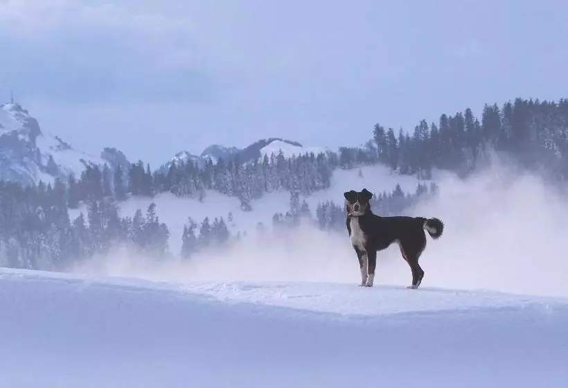 בית מלון כפרי Friendshouse Appenzellerhof