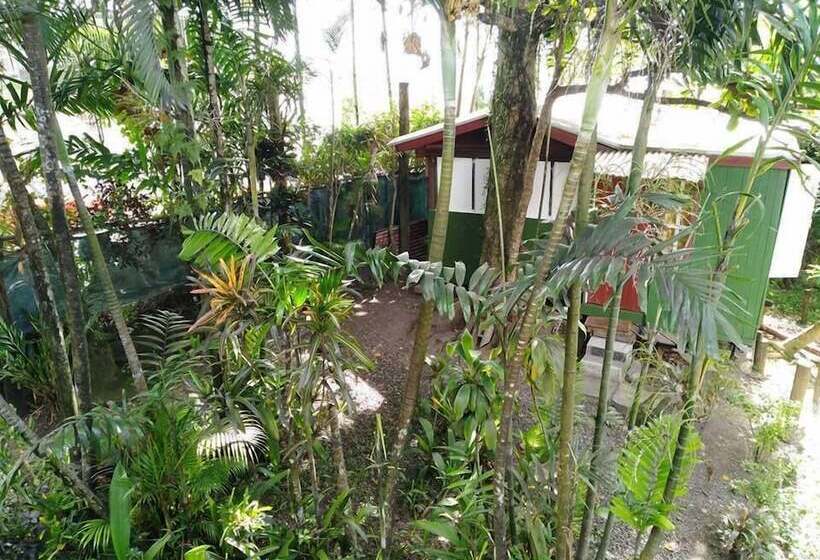 Colonial Lodge Hostel