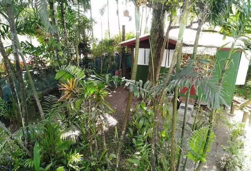 Colonial Lodge Hostel