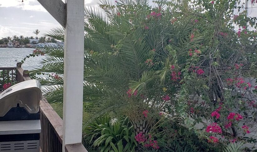 Harbour Lodge At Jolly Harbour