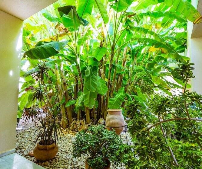 Anais Collection Hotels & Suites