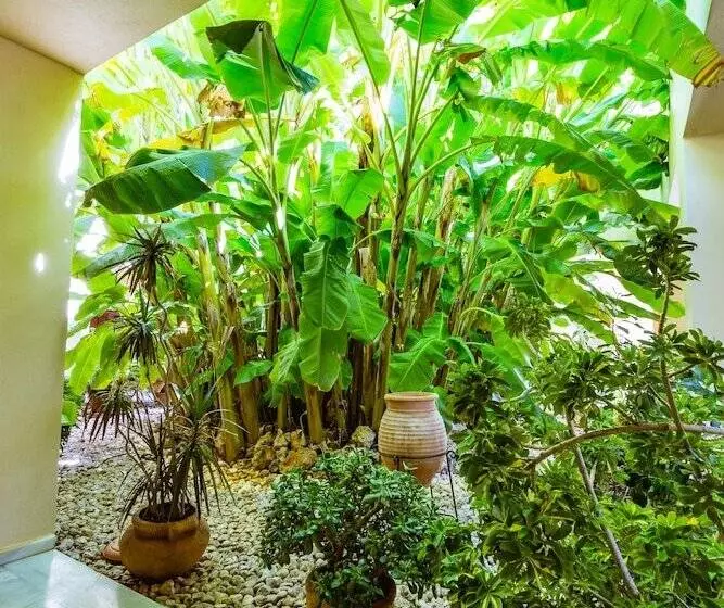 Anais Collection Hotels & Suites