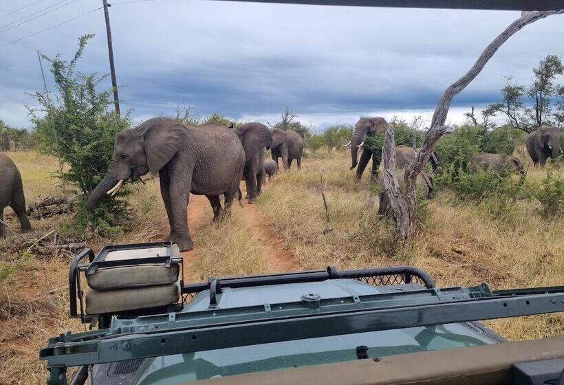 酒店 Lindiwe Safari Lodge