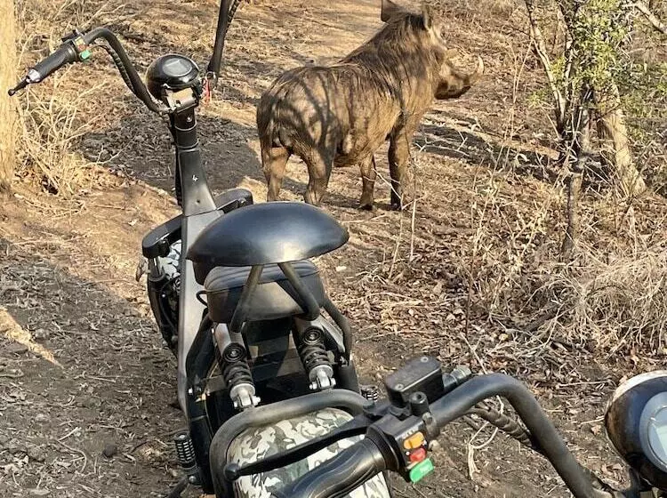 Hotelli Lindiwe Safari Lodge