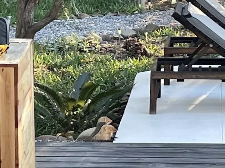 Hotelli Lindiwe Safari Lodge