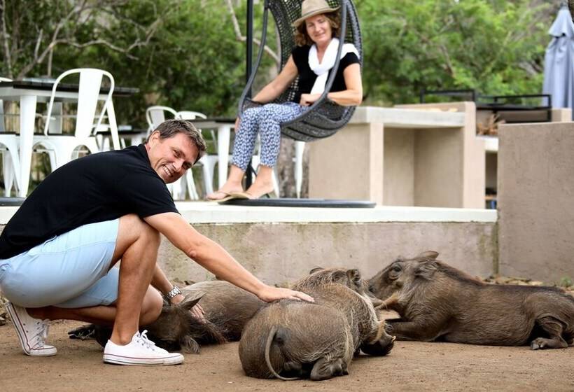 酒店 Lindiwe Safari Lodge