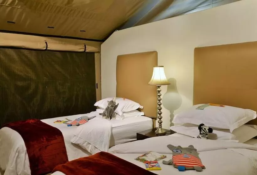 ホテル Safari Plains