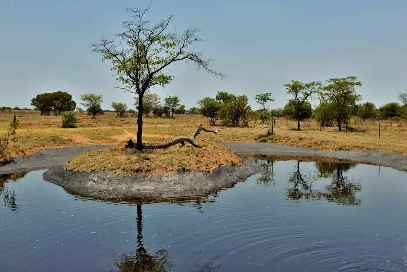 ホテル Safari Plains