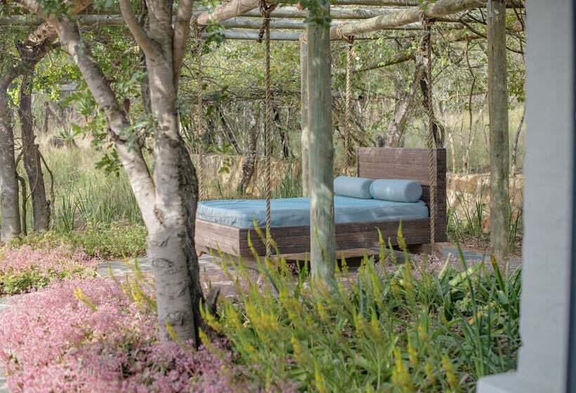 Отель Valley Lodge  Babanango Game Reserve