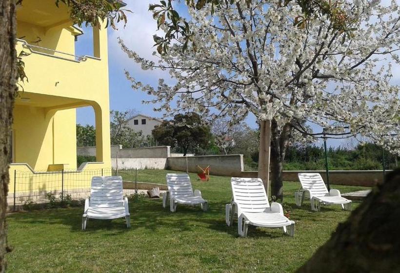 Pensjonat Guesthouse Mia