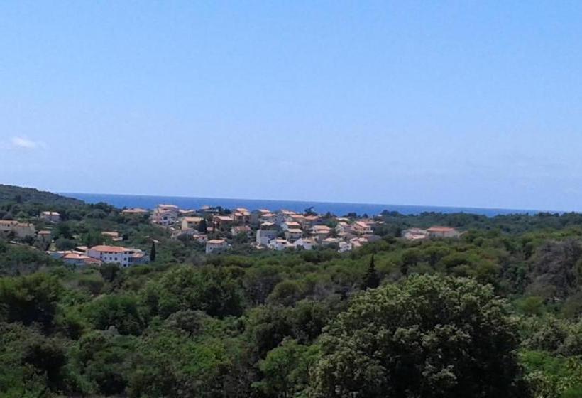 Pensjonat Guesthouse Mia