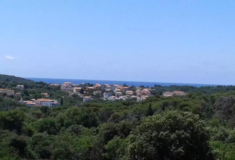 ペンション Guesthouse Mia