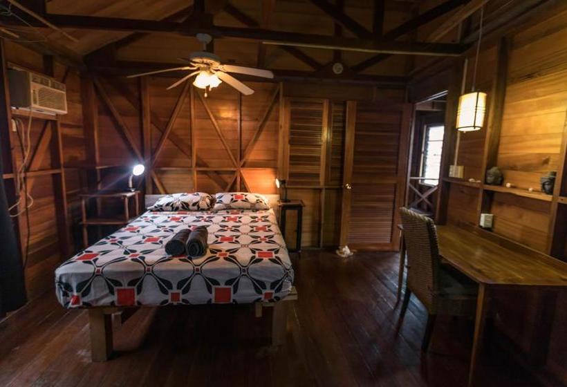 تختخواب و صبحانه Bahia Paraíso Guest House