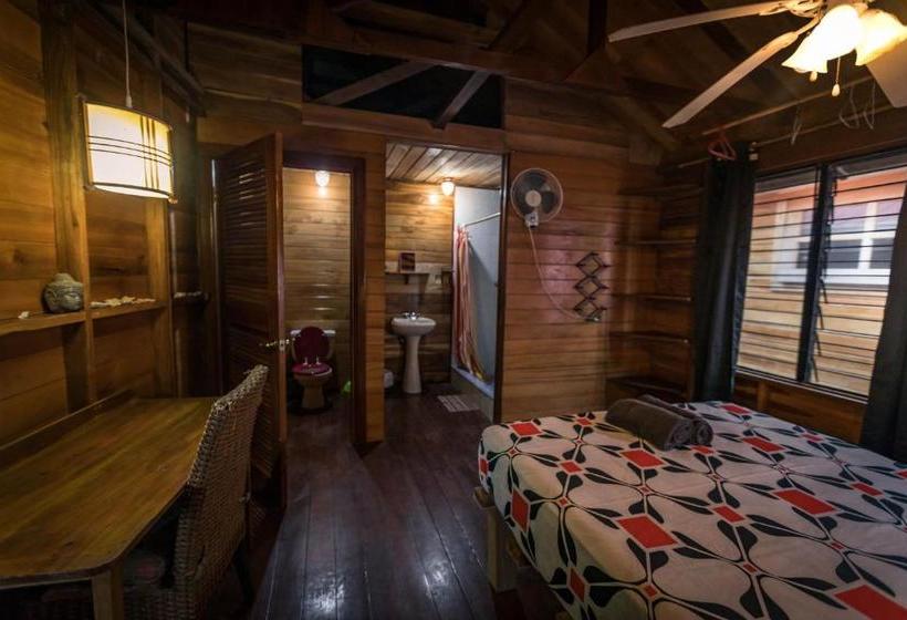 تختخواب و صبحانه Bahia Paraíso Guest House