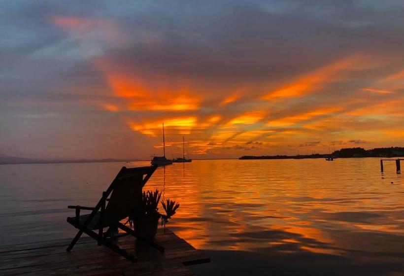 تختخواب و صبحانه Bahia Paraíso Guest House