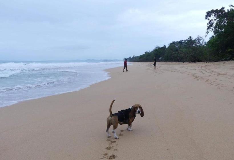 تختخواب و صبحانه Bahia Paraíso Guest House