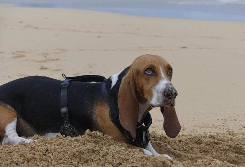 تختخواب و صبحانه Bahia Paraíso Guest House