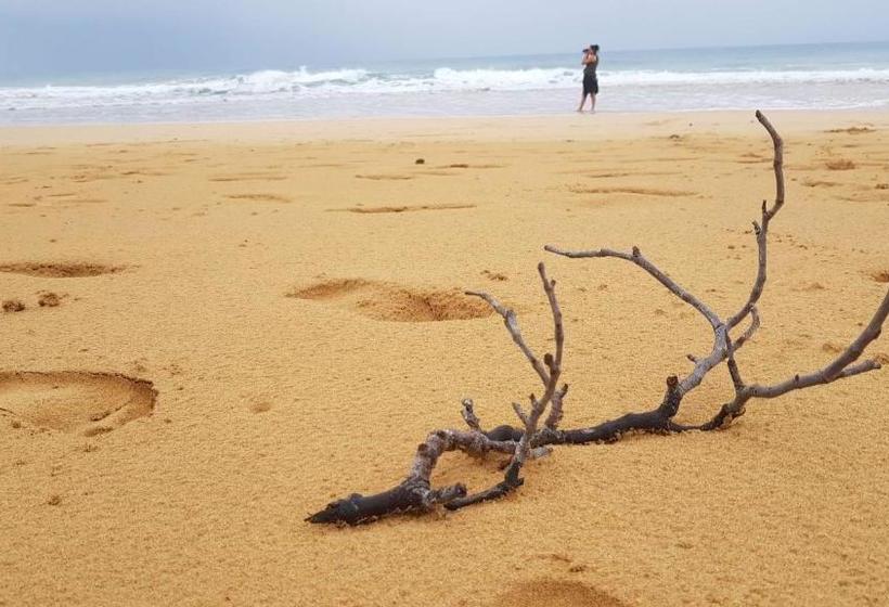 تختخواب و صبحانه Bahia Paraíso Guest House