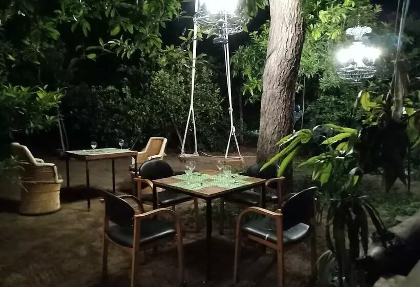 هتل Nature Trail Camps & Homestay