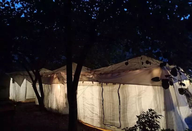 هتل Nature Trail Camps & Homestay