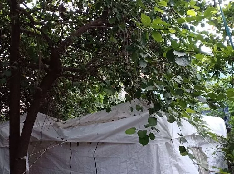 هتل Nature Trail Camps & Homestay