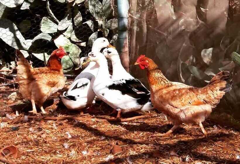 Hotel Rural Marrakesh Organics