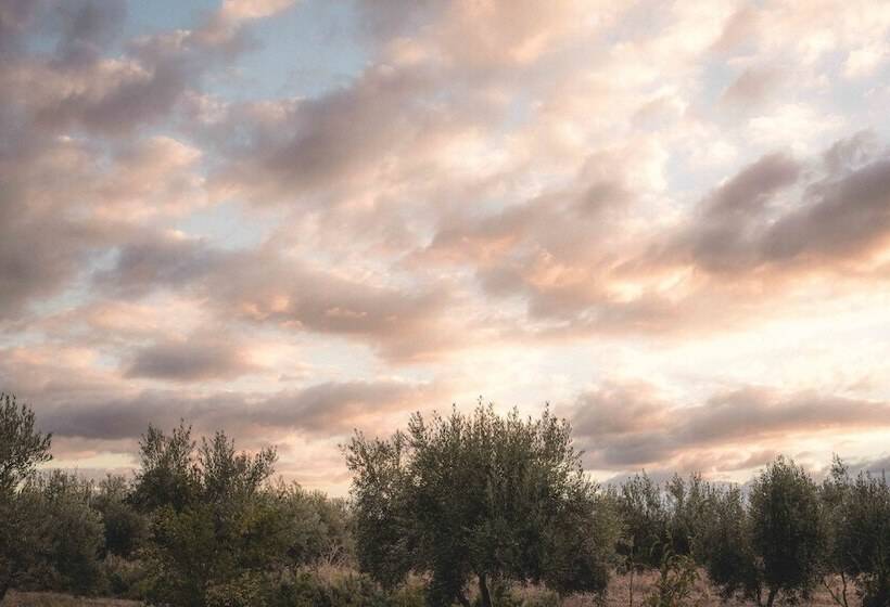 Hotel Rural Marrakesh Organics