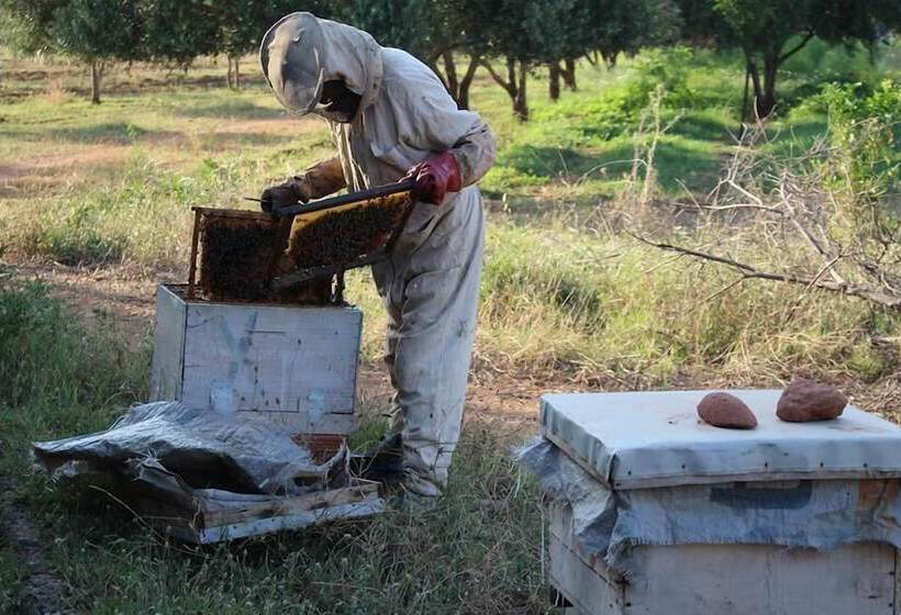 Hotel Rural Marrakesh Organics