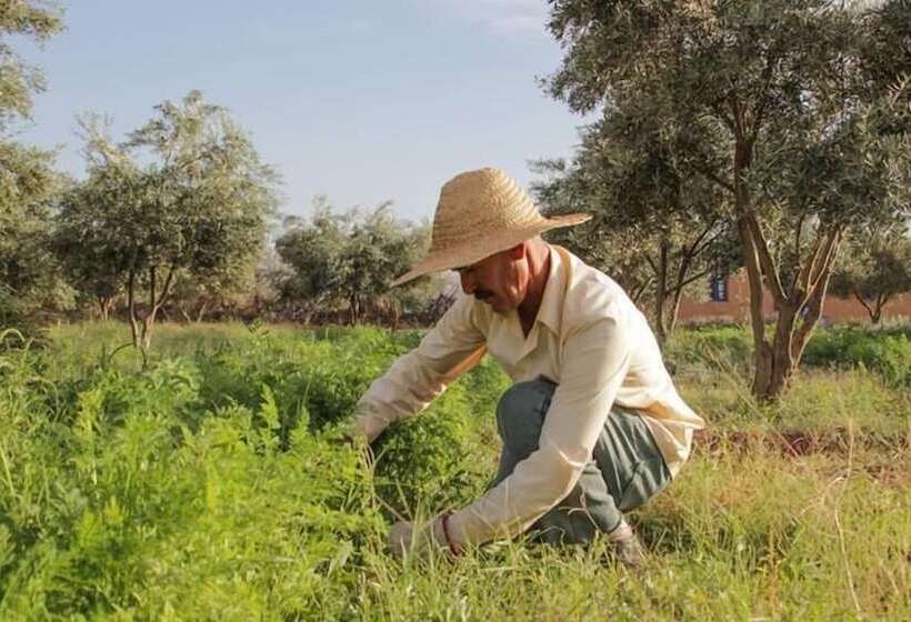 Hotel Rural Marrakesh Organics
