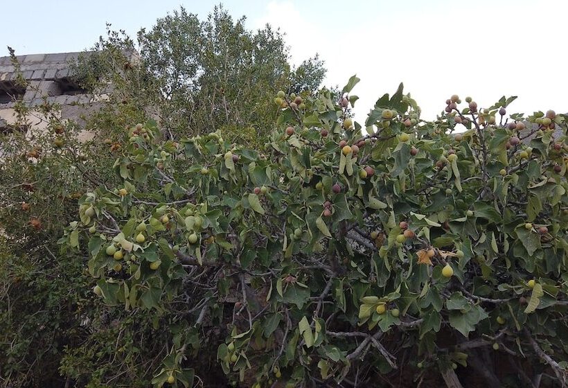 هتل Sama Wakan Heritage Homes