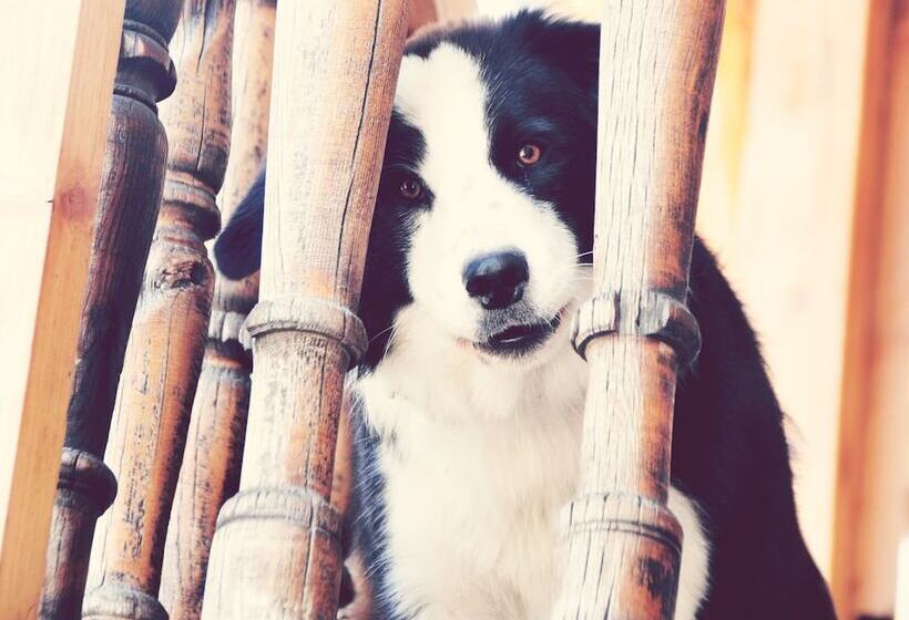 پانسیون Cal Batlle Casa Rural