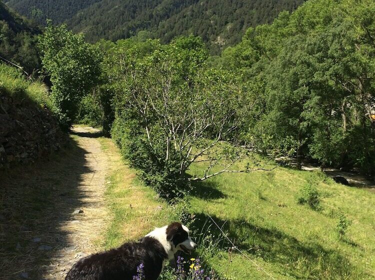 پانسیون Cal Batlle Casa Rural