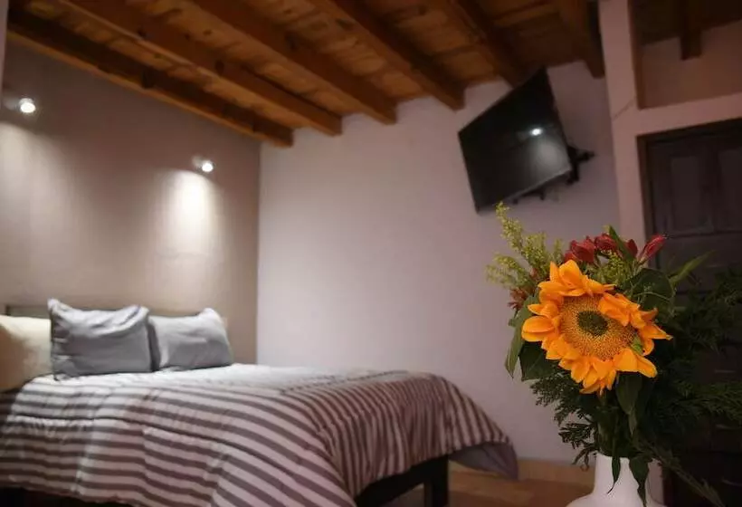 پانسیون The House Of Cinema Guanajuato