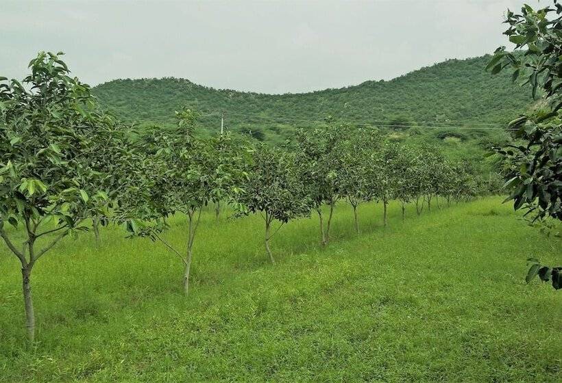 Chitrakoot Garden And Resorts Pushkar