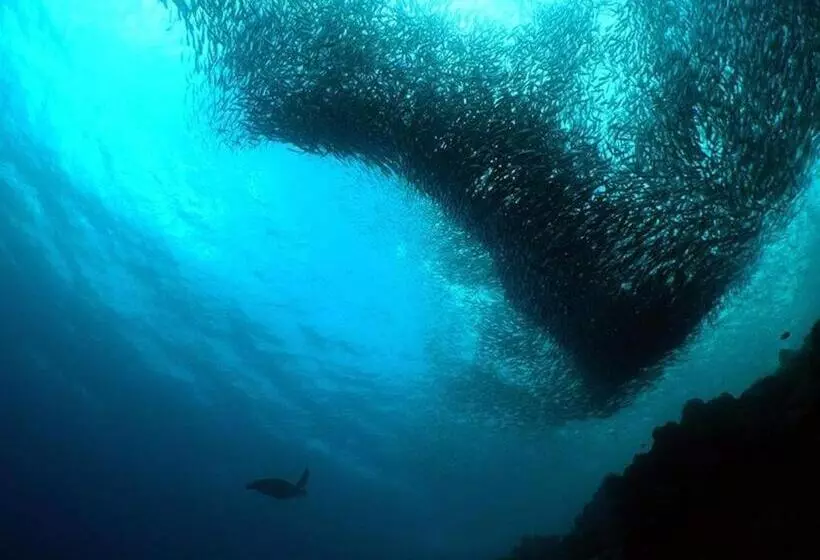 Hotelli Blue Abyss Resort