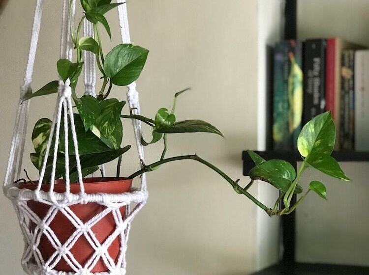 פנסיון Matta Lodge Bali