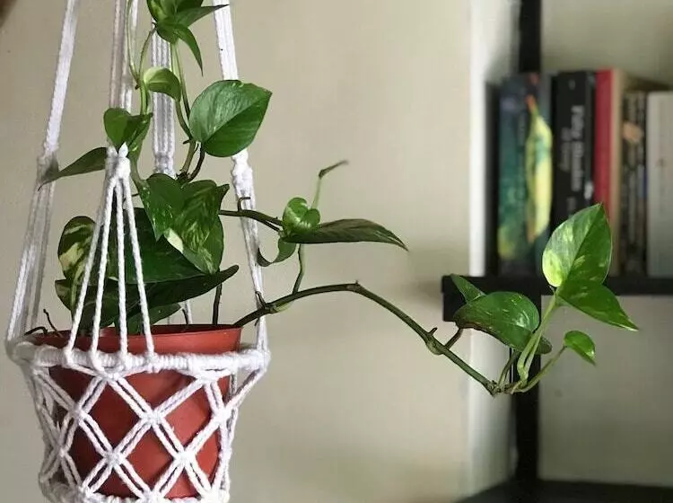 ペンション Matta Lodge Bali