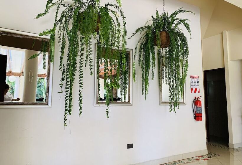 هتل Mango Airport