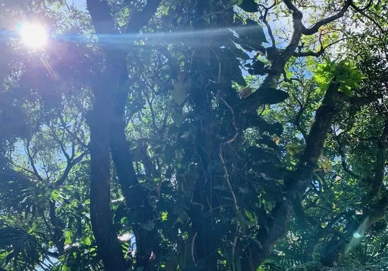 Hotelli Mango Airport