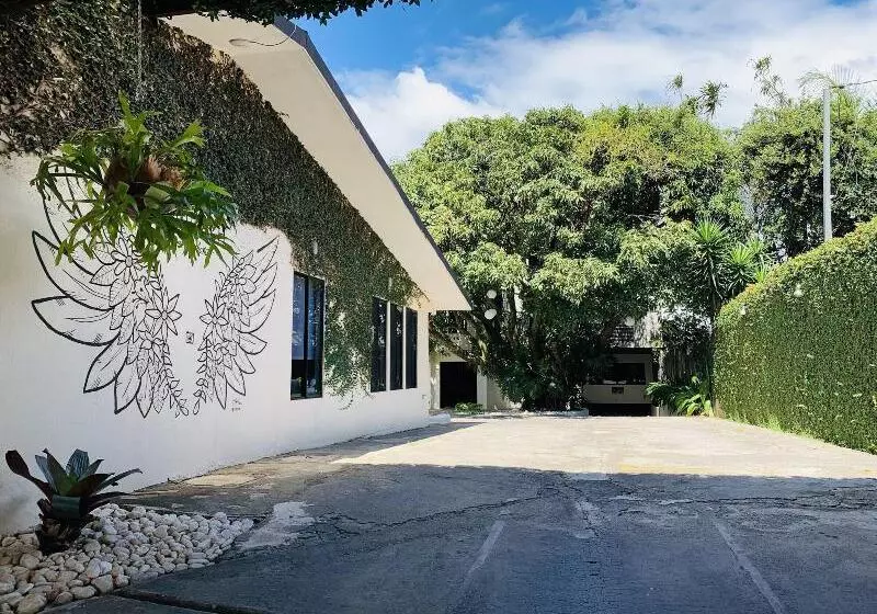 Hotelli Mango Airport