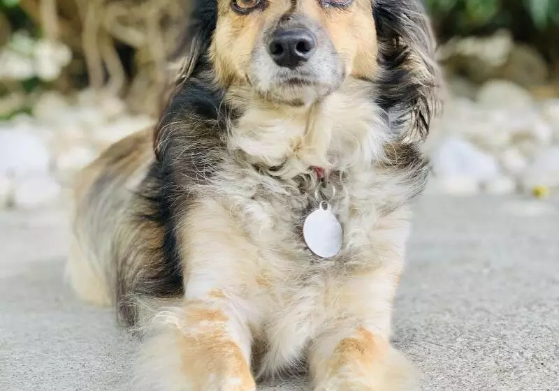 Hotelli Mango Airport