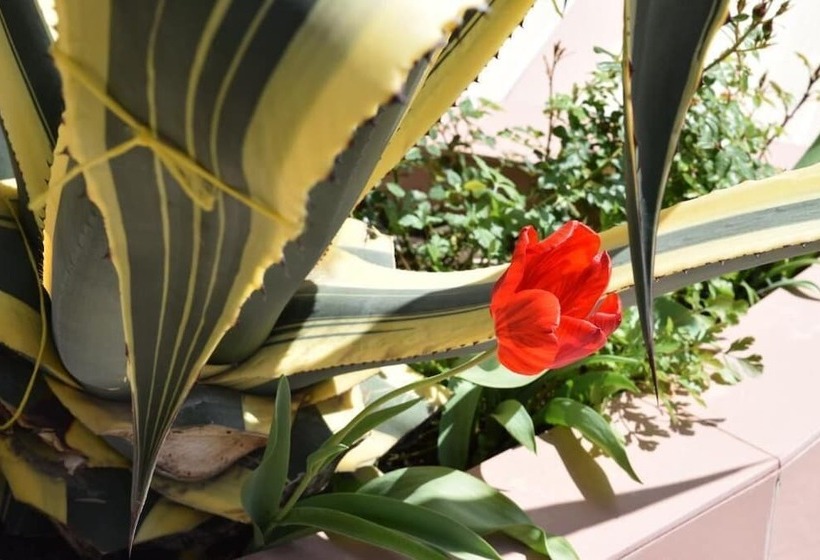 酒店 Niagara Falls