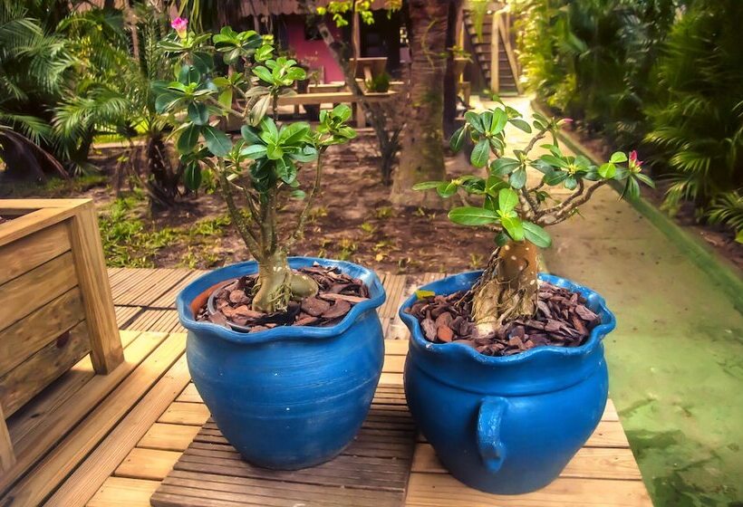 ホテル Pousada Marimar